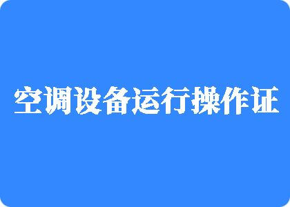 嗯嗯哦嗯嗯好大三级视频制冷工证